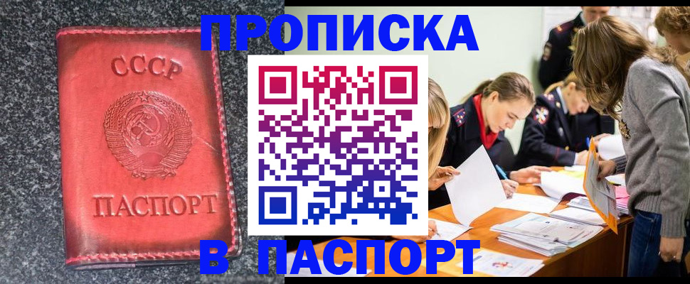 прописка для школы в Нижегородской области
